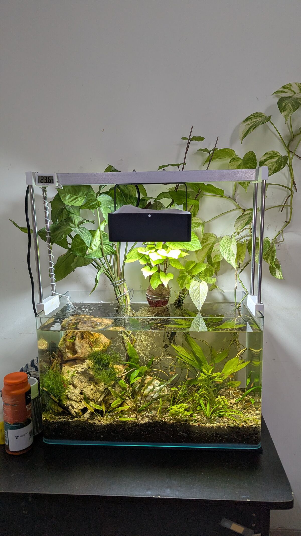 Aquarium Garden Decoration Set