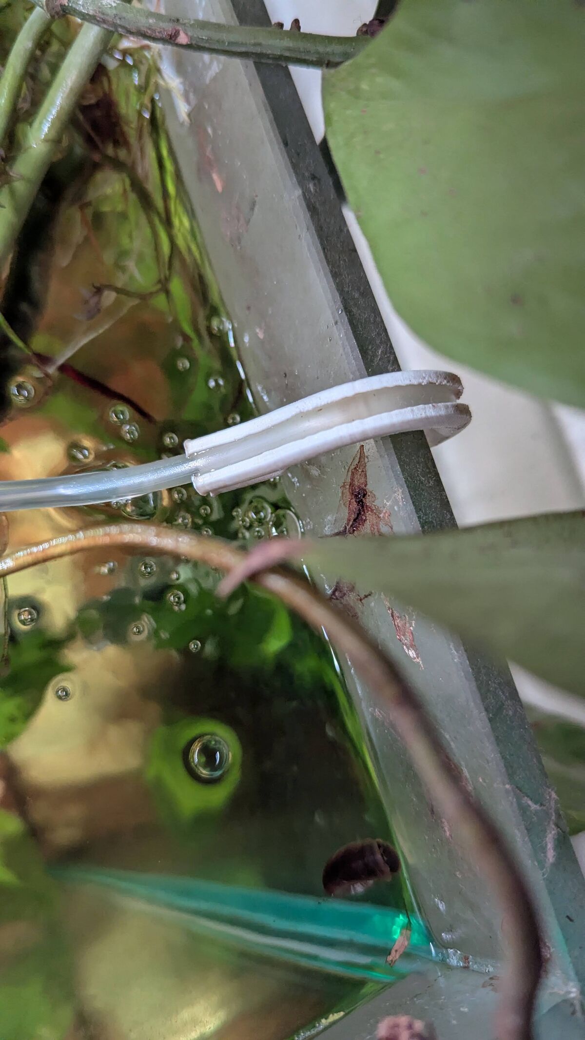 3D Printed Aquarium Accessories