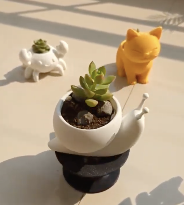 Digital Design for Aquarium Structures