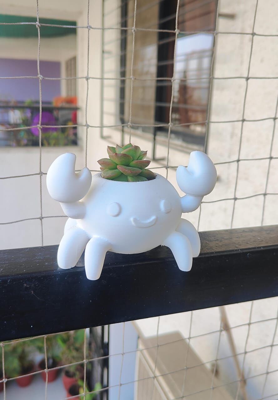 Custom Aquarium Decoration